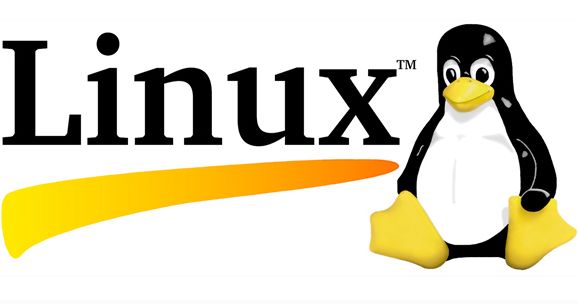 Ƕʽ_l(f)Ӗ(xn),Ƕʽ_l(f)